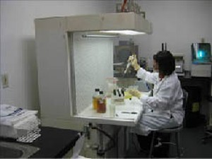 Lab Testing